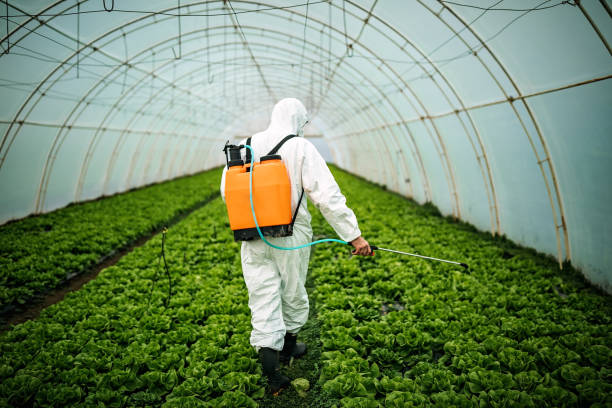 Best Affordable Pest Control Services  in Finderne, NJ