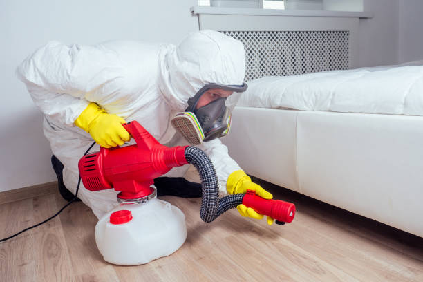 Best Best Pest Control Near Me  in Finderne, NJ
