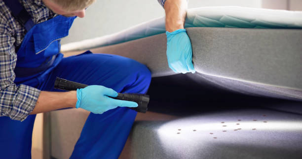 Best Local Pest Control Services  in Finderne, NJ