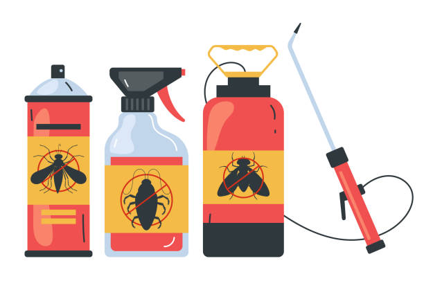 Best Ant Control Services  in Finderne, NJ