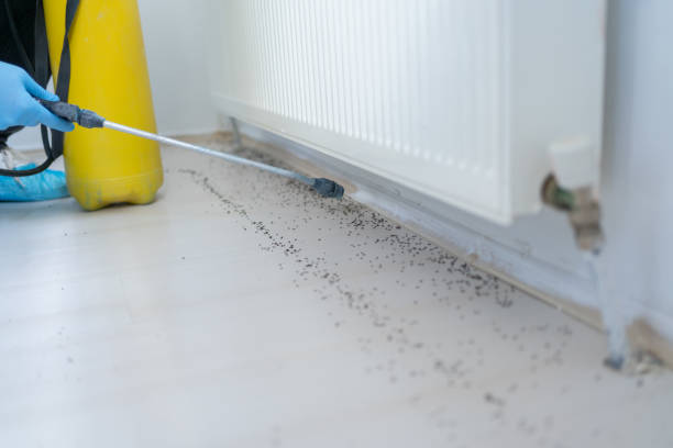 Trusted Finderne, NJ Pest Control Experts
