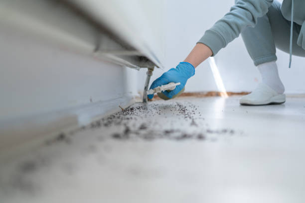 Wildlife Control Services in Finderne, NJ